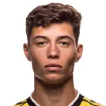S. Berhalter - USA